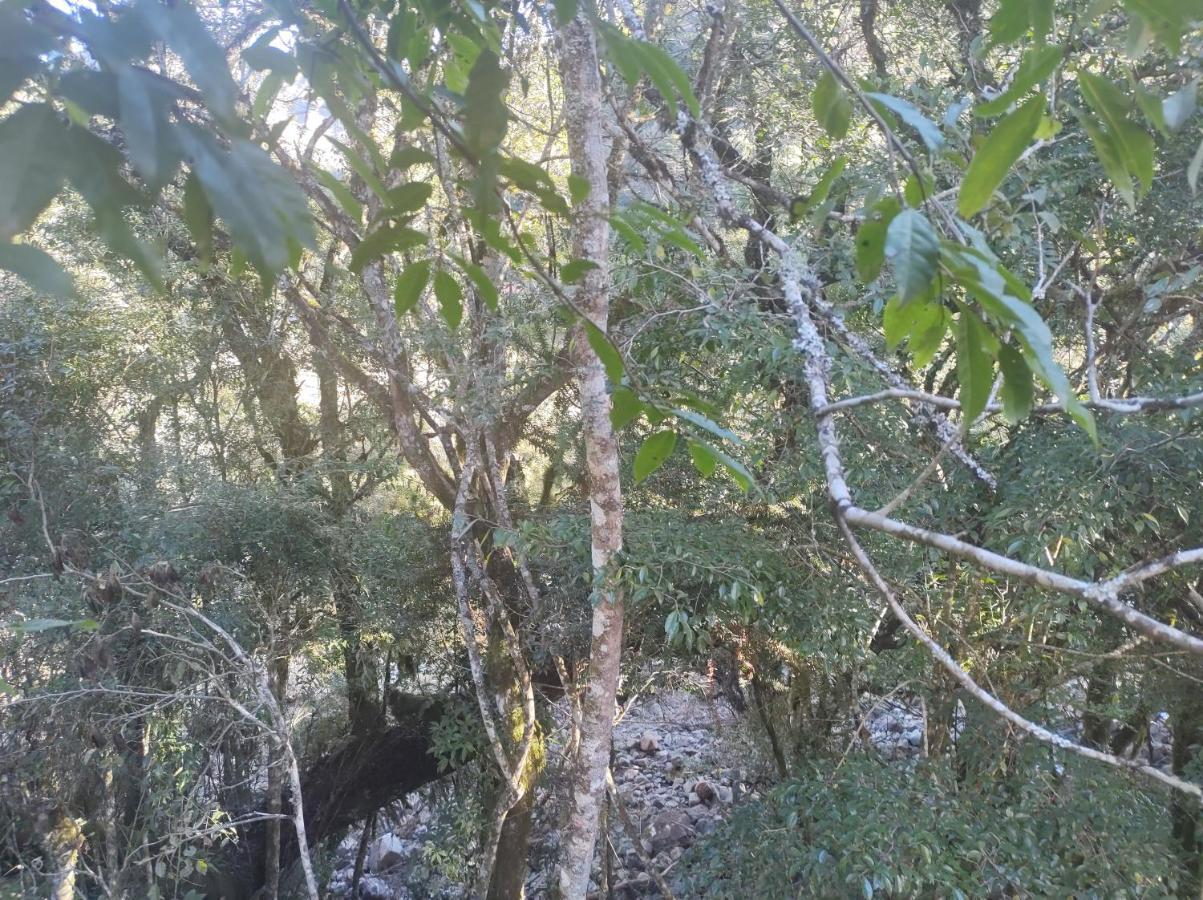 Casas De Temporada Serra Dos Bitus Urubici Bagian luar foto